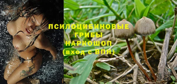 винт Арсеньев